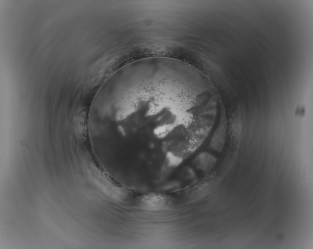 X0000113980181200910021146