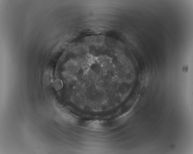 X0000113980182200910021146