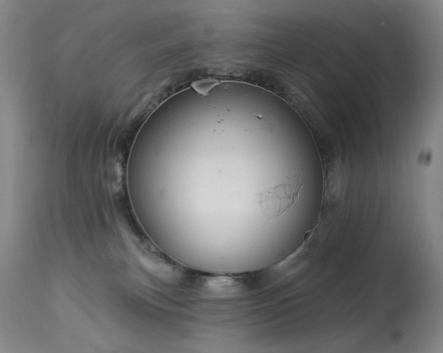 X0000113980183200910021146