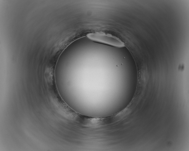 X0000113980184200910021146