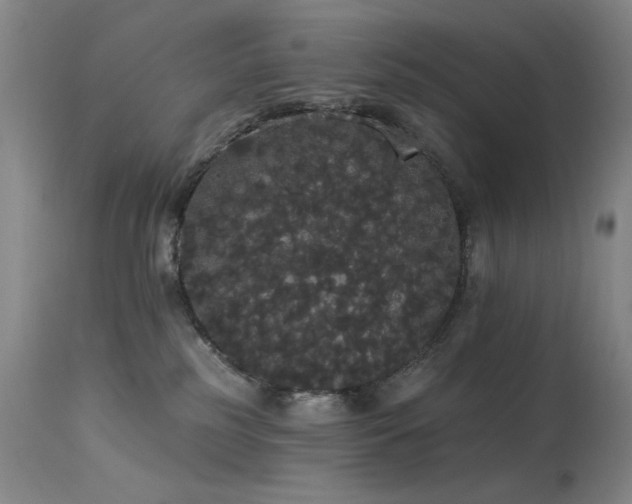 X0000113980185200910021146