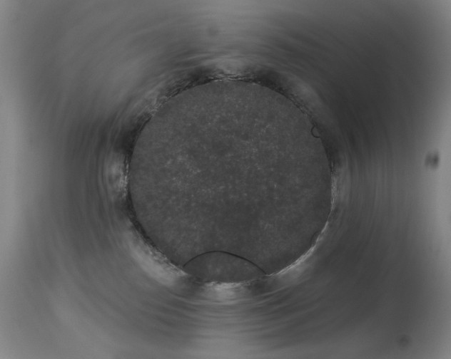 X0000113980186200910021146