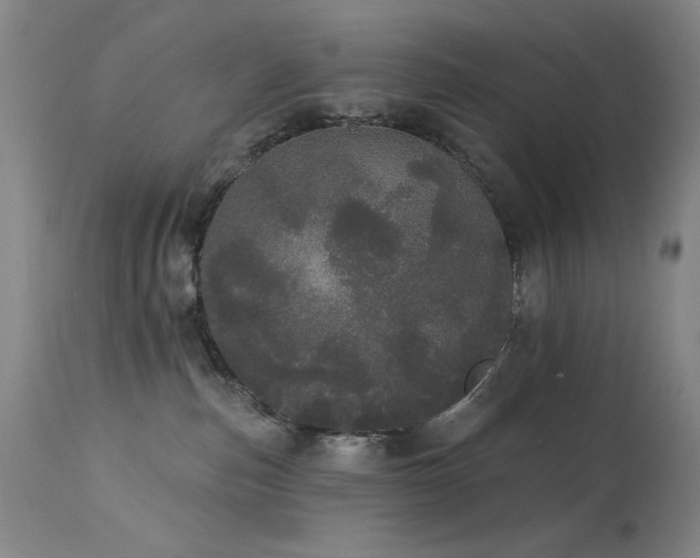 X0000113980187200910021146