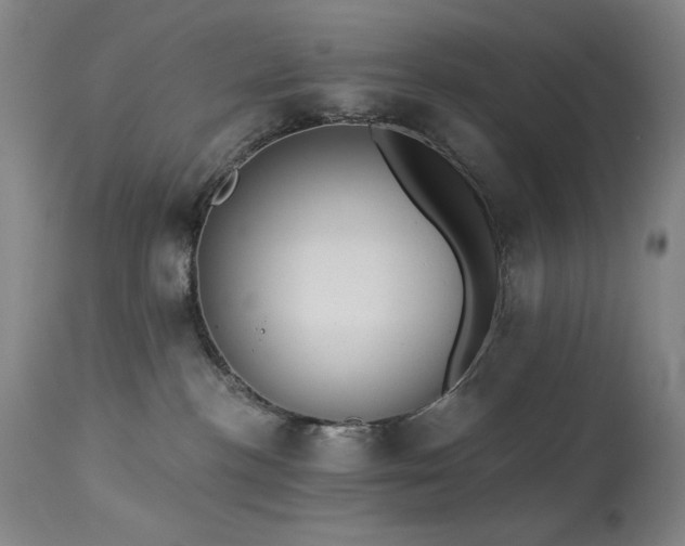 X0000113980188200910021146