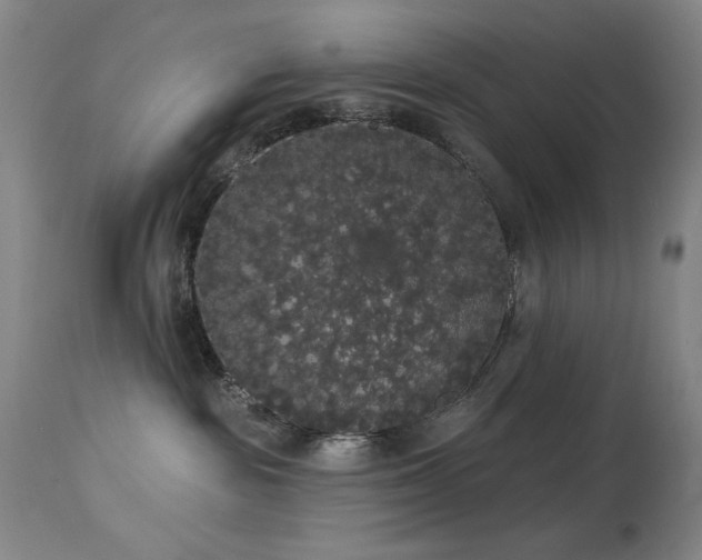 X0000113980189200910021146