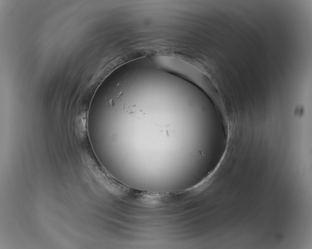 X0000113980190200910021146