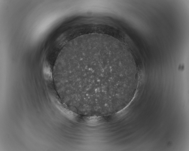 X0000113980191200910021146