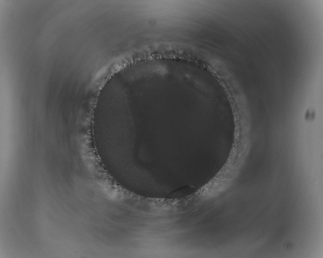 X0000113980192200910021146