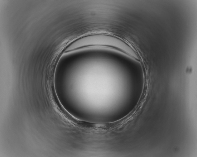 X0000113980193200910021145