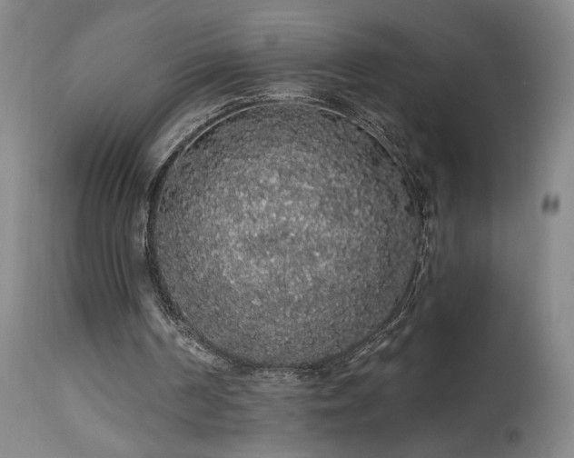 X0000113980194200910021145