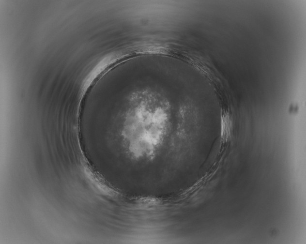 X0000113980195200910021145