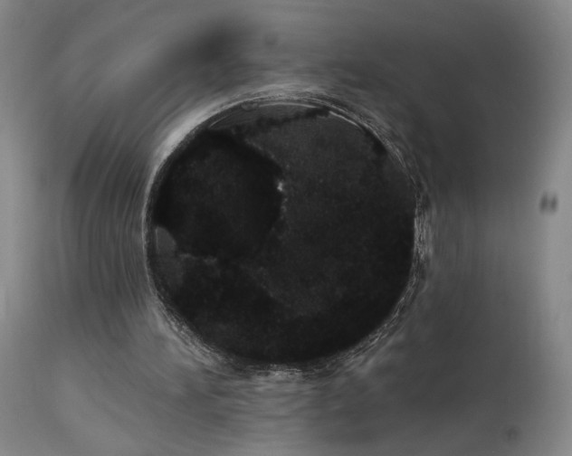 X0000113980196200910021145