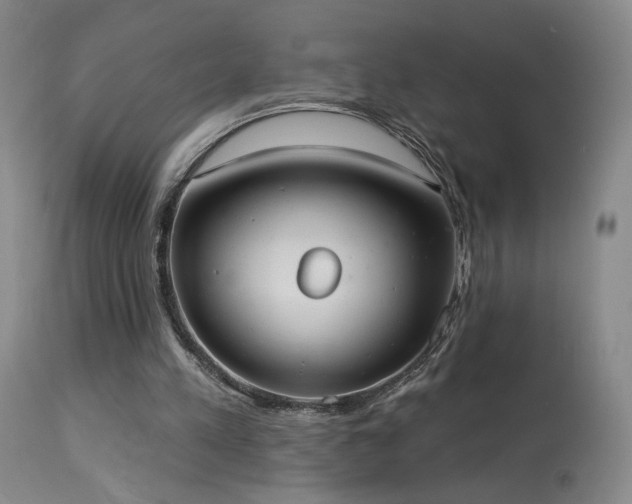 X0000113980197200910021145