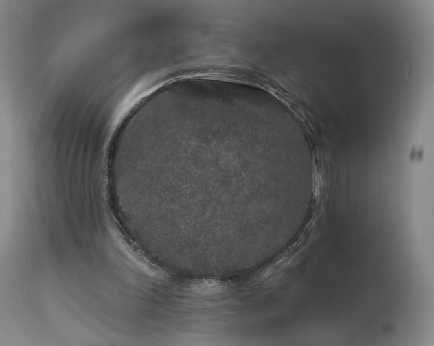 X0000113980198200910021145