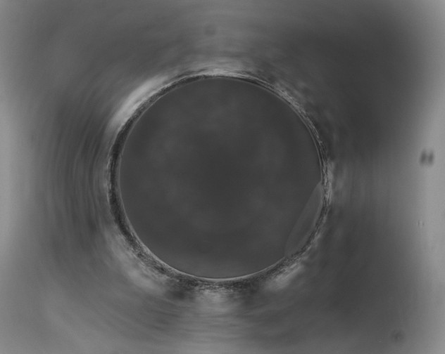 X0000113980199200910021145