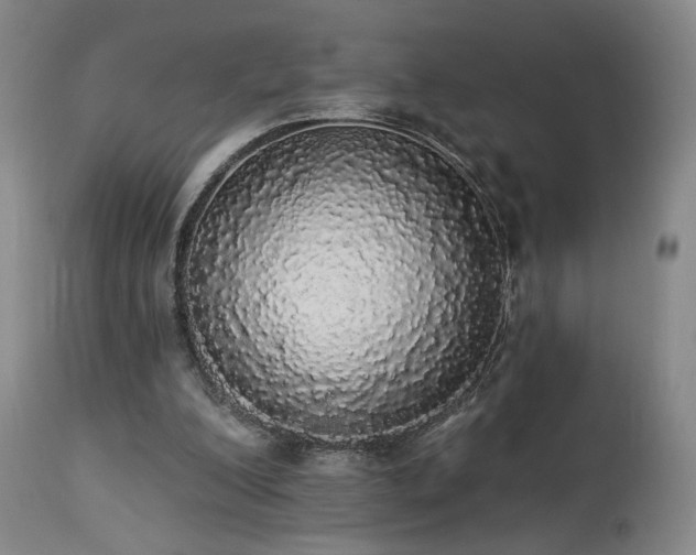 X0000113980200200910021145