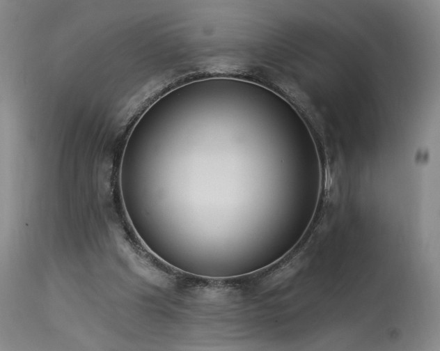 X0000113980201200910021145