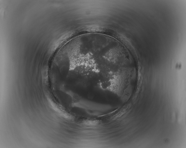 X0000113980202200910021145