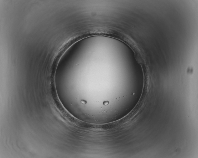 X0000113980203200910021145