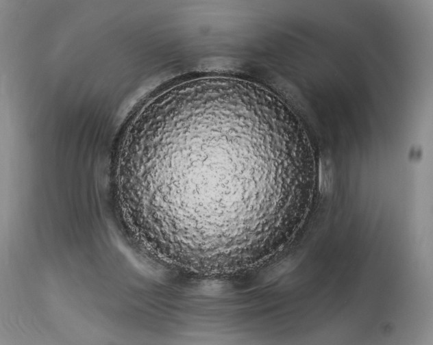 X0000113980204200910021145