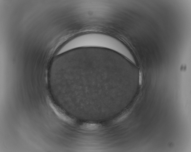 X0000113980205200910021145