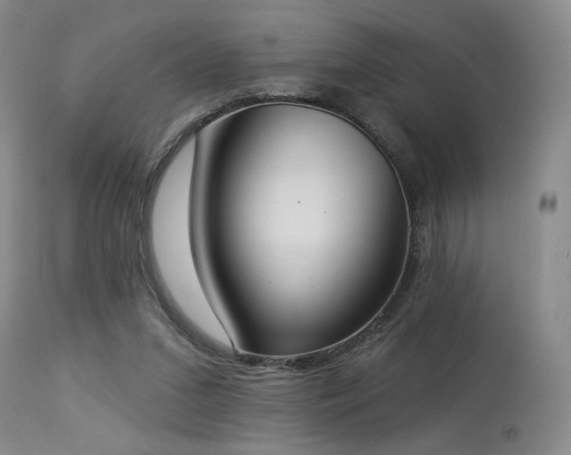 X0000113980207200910021145