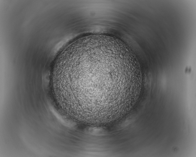 X0000113980208200910021145