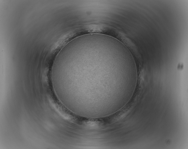 X0000113980209200910021145