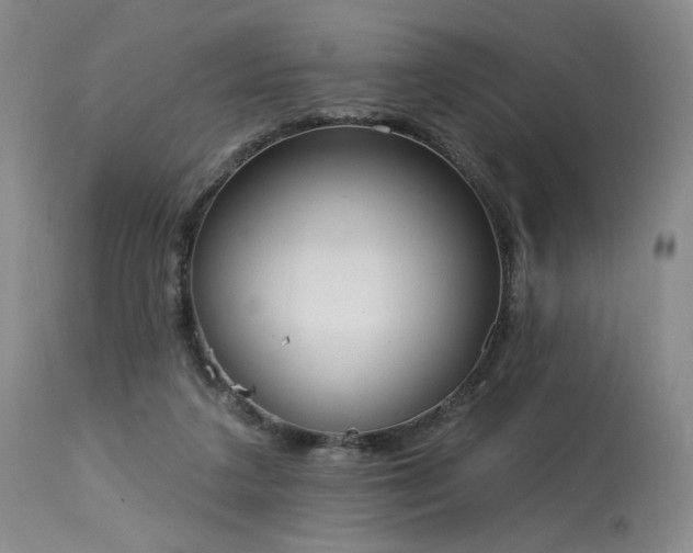 X0000113980211200910021145