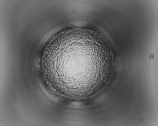 X0000113980212200910021145