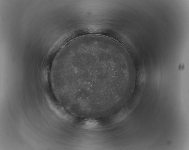 X0000113980214200910021145