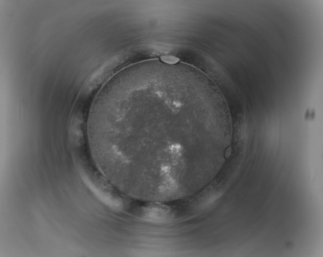 X0000113980215200910021145