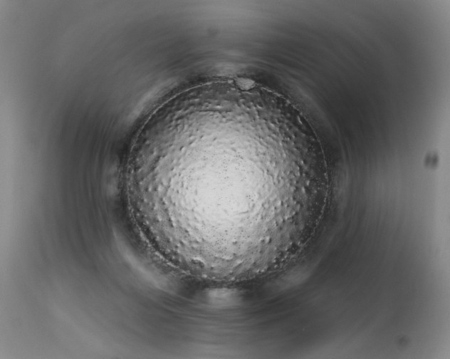 X0000113980216200910021145