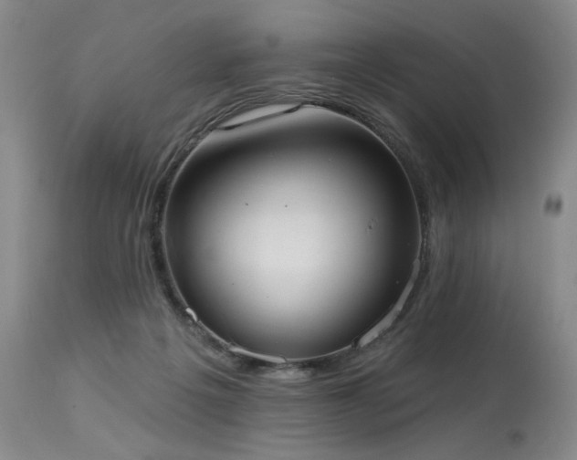 X0000113980217200910021145