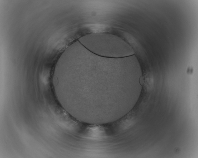 X0000113980221200910021145