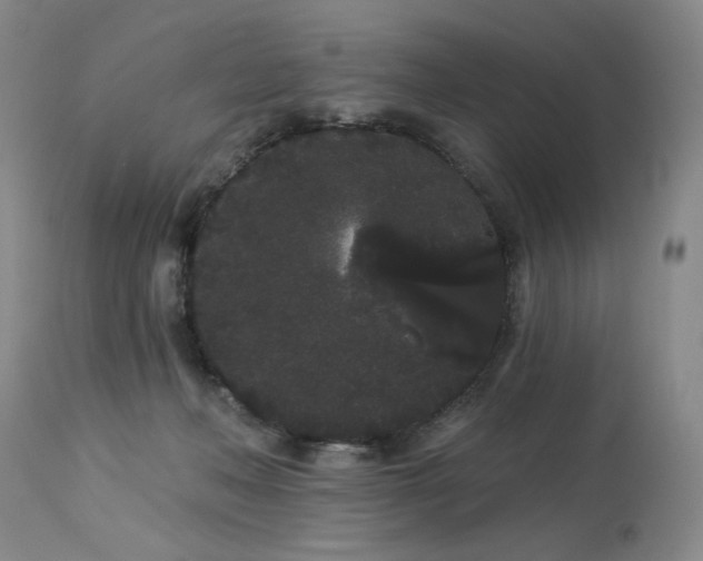 X0000113980222200910021145