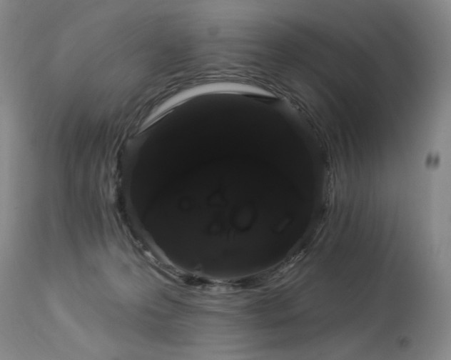 X0000113980223200910021145