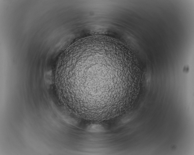 X0000113980224200910021145