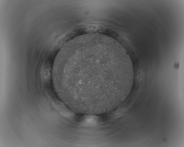 X0000113980226200910021145