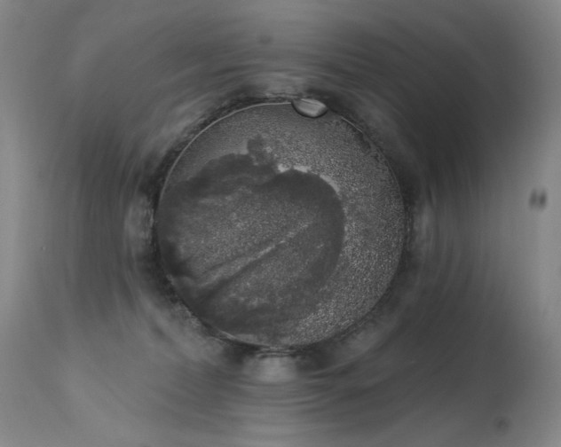 X0000113980228200910021145