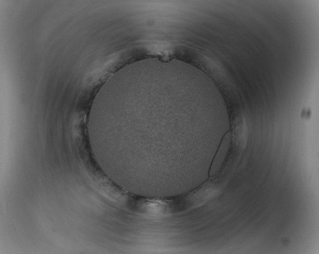 X0000113980229200910021145