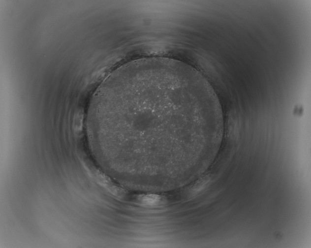 X0000113980230200910021145