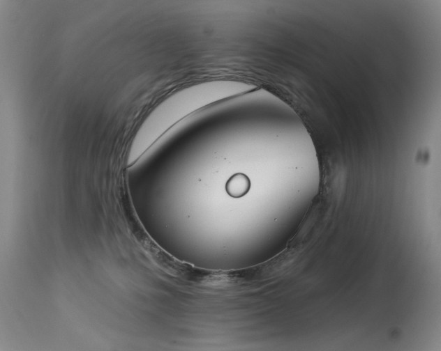 X0000113980231200910021145