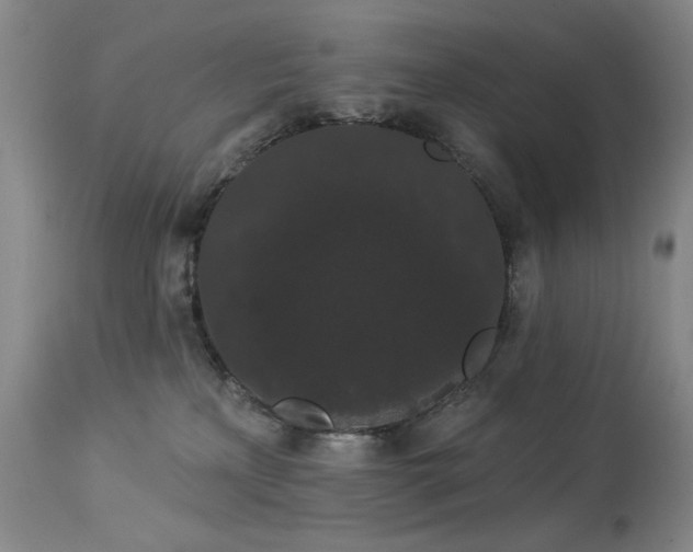 X0000113980233200910021145