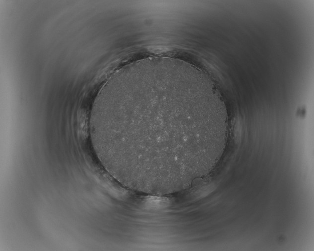 X0000113980234200910021145