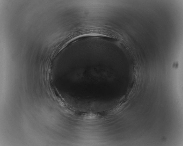 X0000113980235200910021145