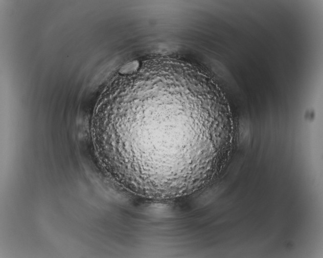 X0000113980236200910021145