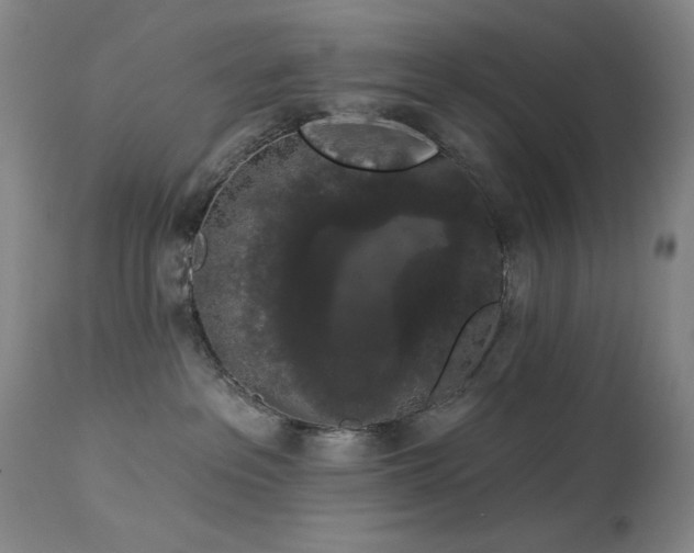 X0000113980237200910021145