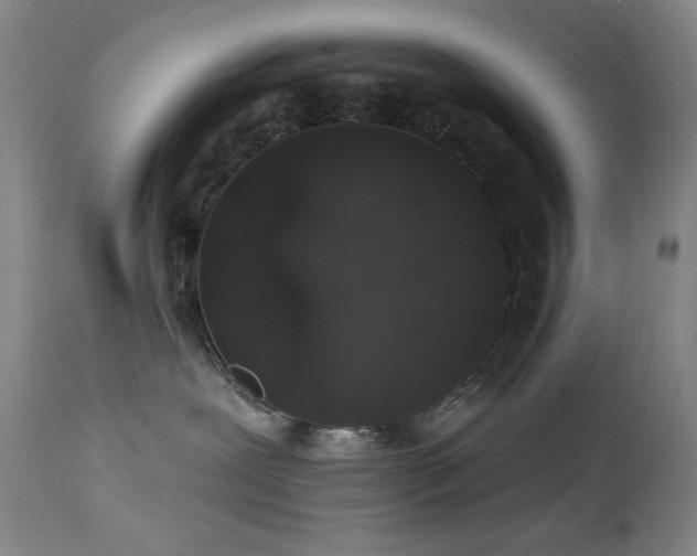 X0000113980239200910021145