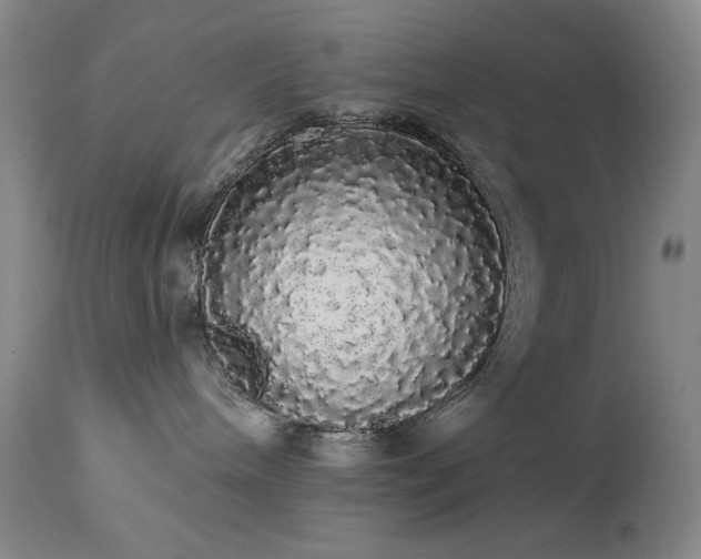 X0000113980240200910021145